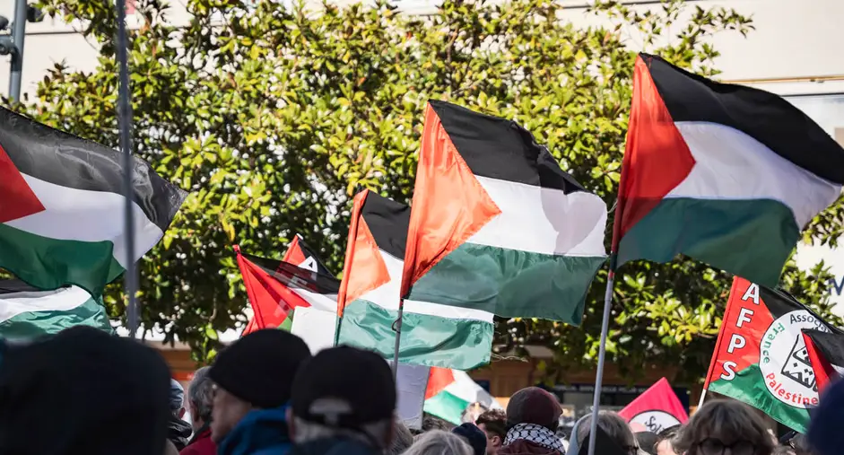 photo de manifistation pour le palastine où on vois les drapeaux de palastine